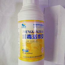 世連健康集團(tuán) 引領(lǐng)食品銷售新潮流，守護(hù)全民健康生活