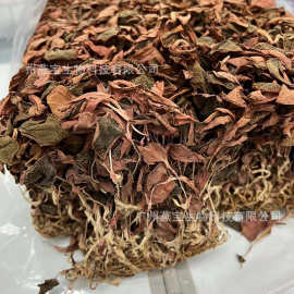 金線蓮500藥品批發(fā)指南 選購(gòu)、優(yōu)勢(shì)與市場(chǎng)前景