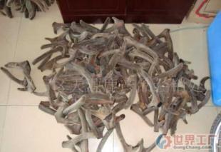 批發優質梅花鹿茸 醫藥與保養領域的珍品